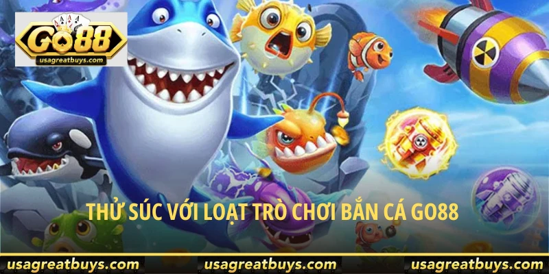 Top sản phẩm săn boss đáng để tất cả hội viên thử